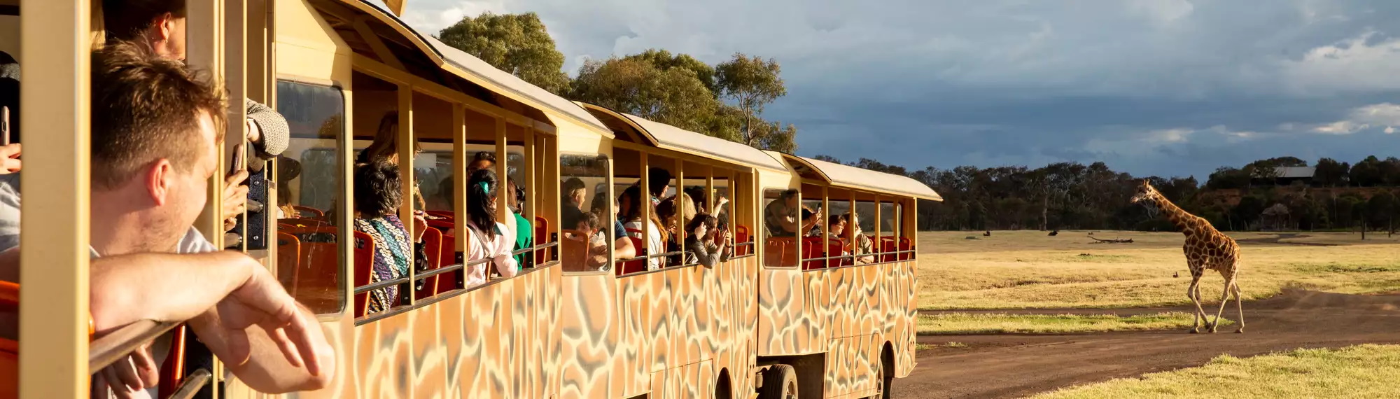 Werribee Zoo Safari